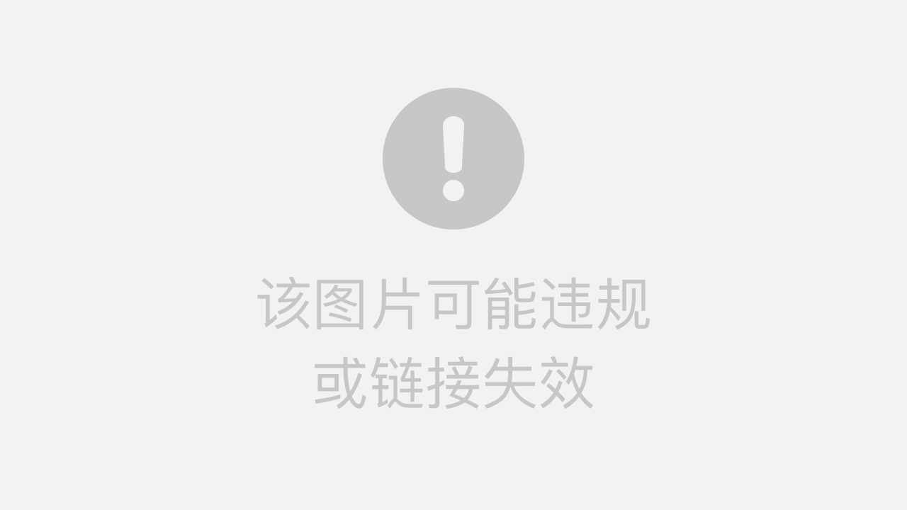 俄罗斯搜索引擎深度对比，Yandex与海外工具全解析