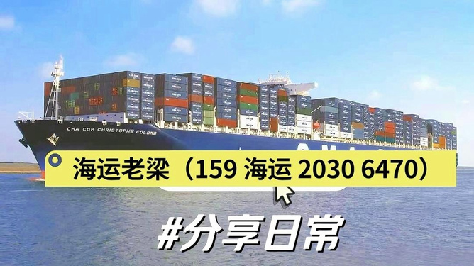 TS船公司官网入口及海运船期货物查询方法解析