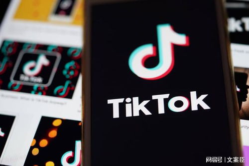 揭秘TikTok官网入口，国际短视频平台使用指南